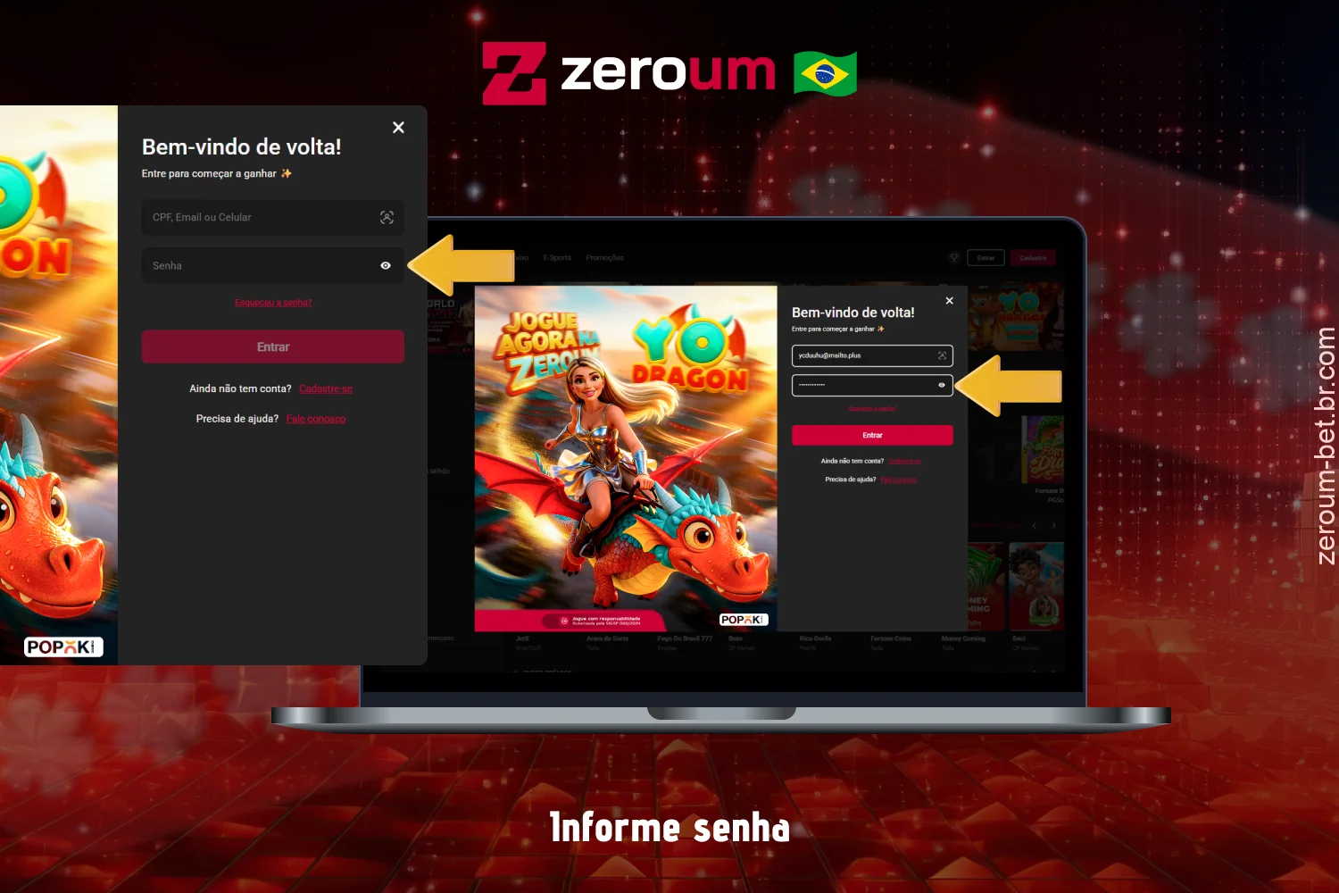 Digite a senha fornecida no registro do Zeroum Bet